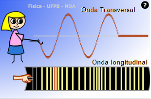 imagem transversal longitudinal